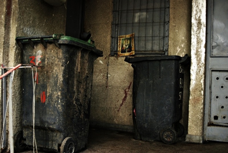 20090627_sghinescu_09