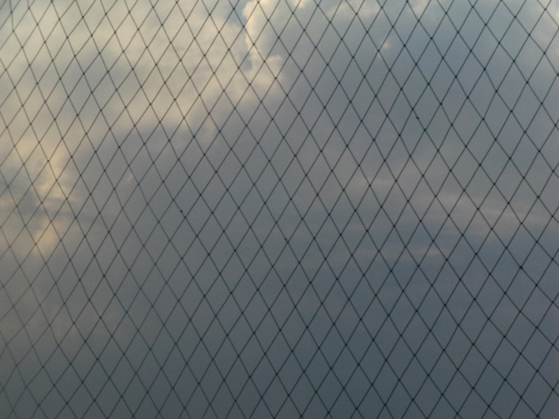 20090627_cmunteanu_03