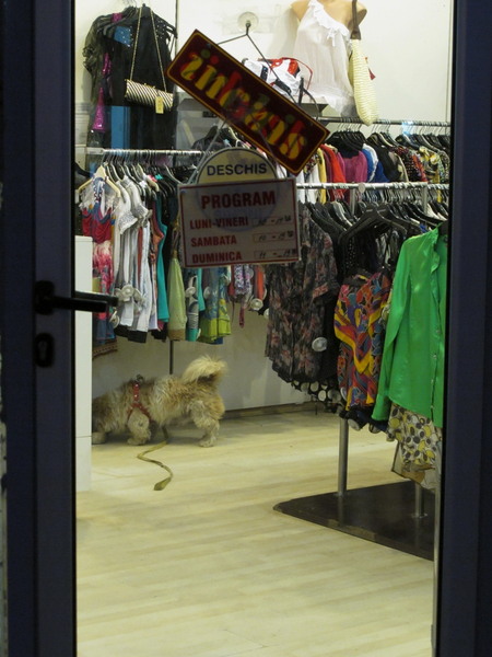 ma plictisesc ingrozitor! vreau la o bere!