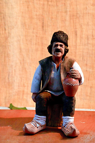 imaginea romanului de pe marginea festivalului