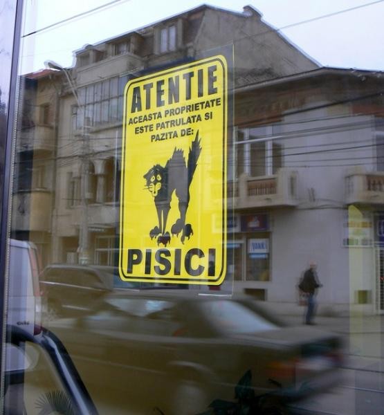 20081206_cristinad_02