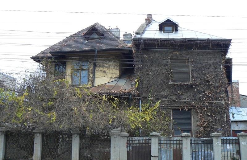 20081206_cristinad_04