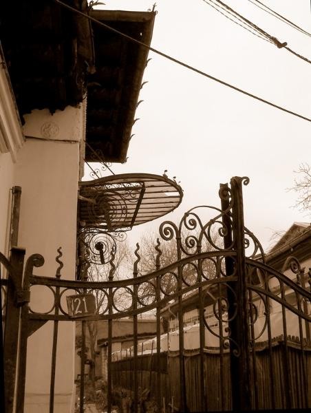 20081206_cristinad_05