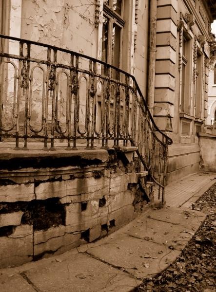 20081206_cristinad_13