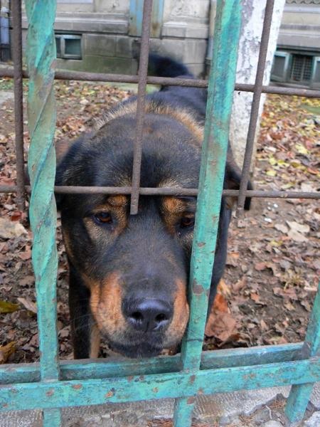 20081206_cristinad_15