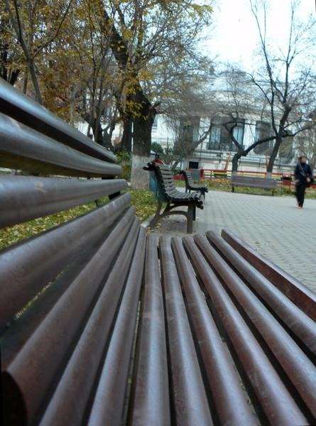 20081206_cristinad_21