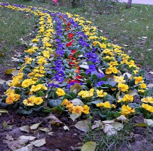 20081206_cristinad_23