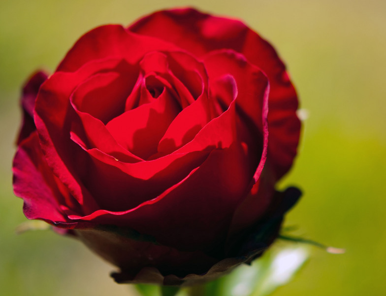 Noroc si ...viata imbelsugata