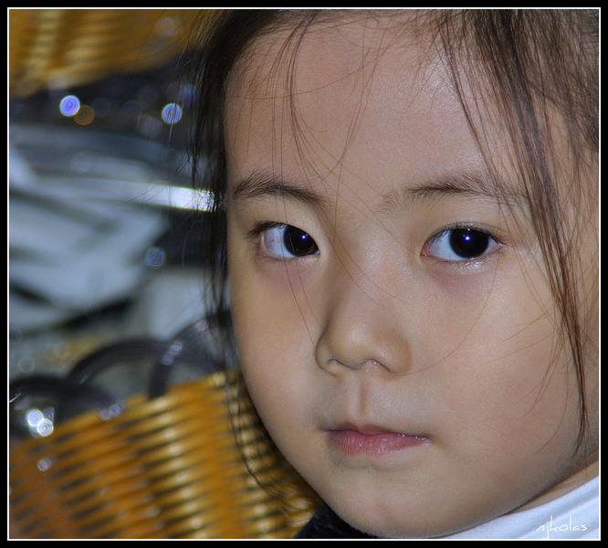 4447664497_2b892294b0_b