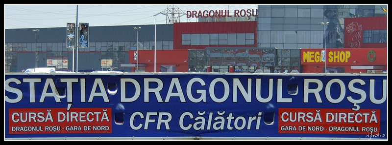 4447838357_f8a0d45e92_b