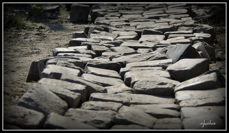 4448102761_b92af46240_b