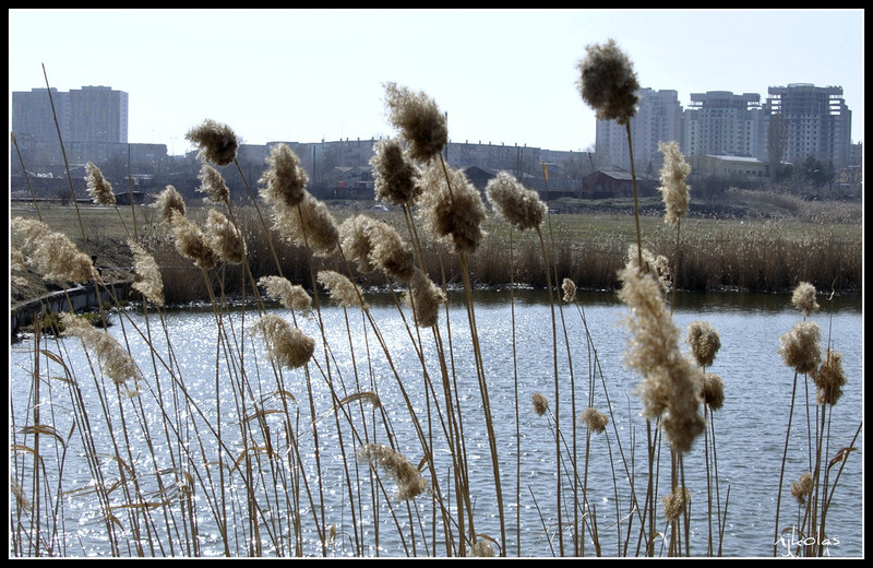 4448102793_643d5d65bc_b