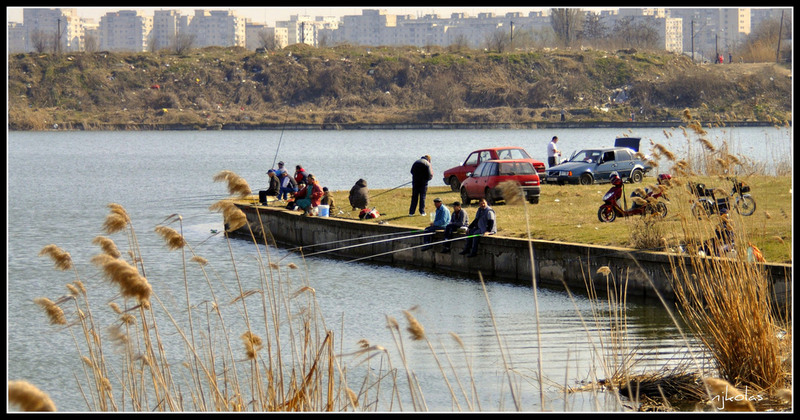 4448102807_c2a8577644_b