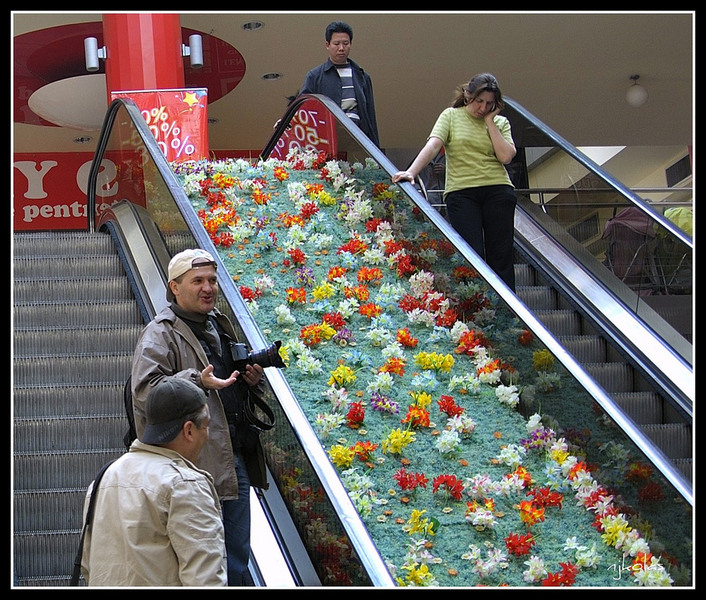 4448537680_020cef6176_b