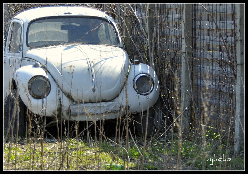 4448820252_a5fcc906c5_b