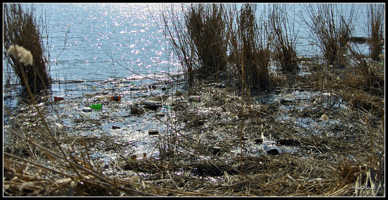 4448952240_6df3bb621b_b