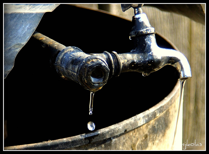 4449037868_f9d2332d1e_b