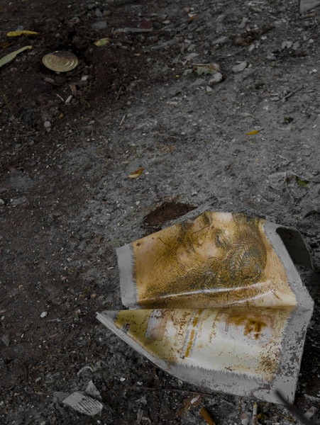 nunta_cornel_popescu_18