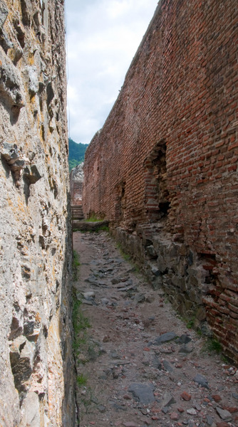 Spre Cetatea Poienari