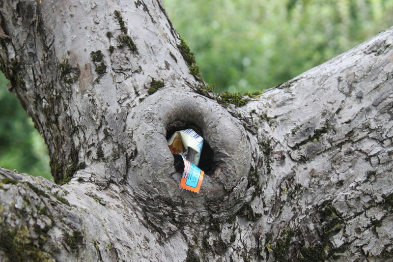 cos de gunoi ecologic