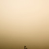 20091121-flr-09