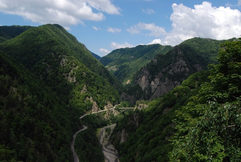 vedere-de-la-cetatea-poienari
