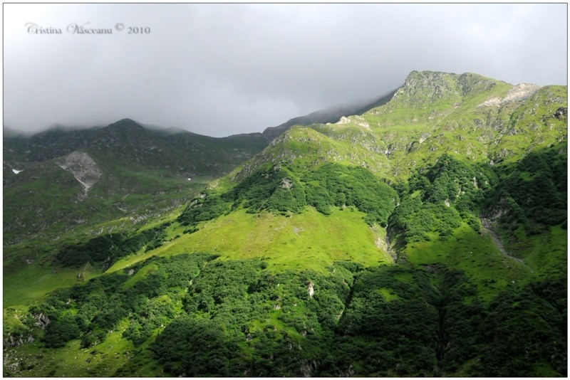 Vedere de pe Transfagarasan