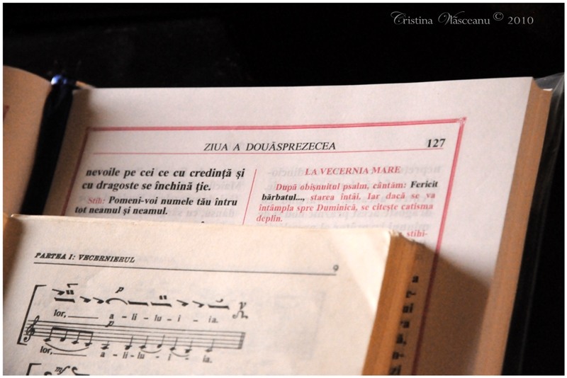 Ziua a douasprezecea