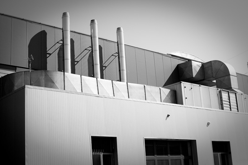 dragonul-rosu-fundeni_006