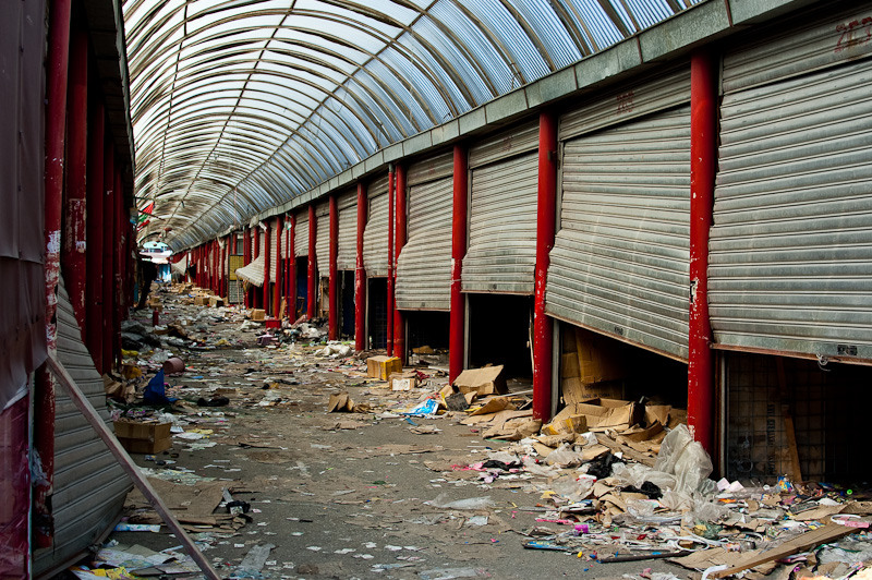 dragonul-rosu-fundeni_016