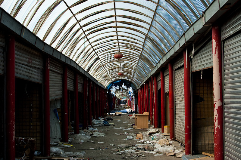 dragonul-rosu-fundeni_017