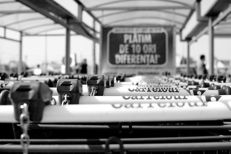 dragonul-rosu-fundeni_020