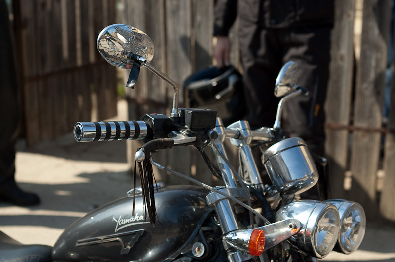 dragonul-rosu-fundeni_022