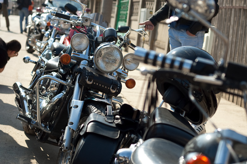 dragonul-rosu-fundeni_023