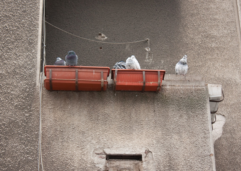 robertoi_excursie_ev_09