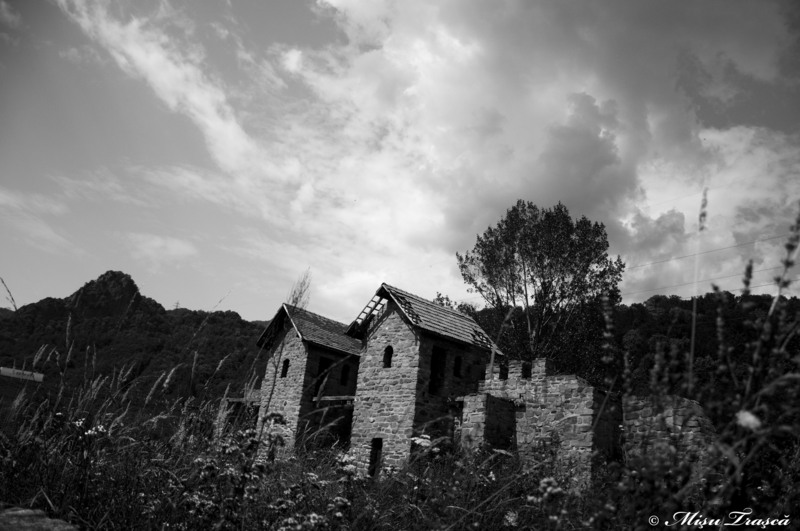 mic-_nik7856_copy_bw_1