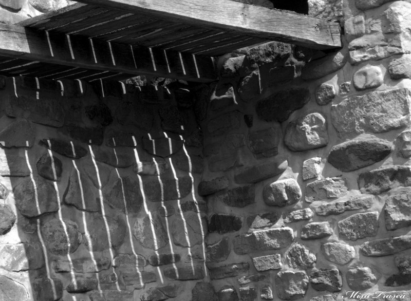 mic-_nik7864_copy_bw