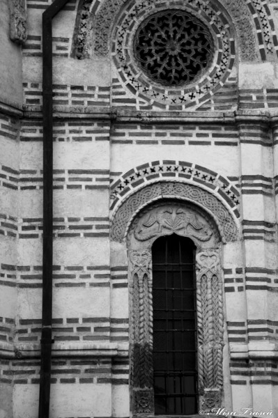 mic-_nik7886_copy_bw