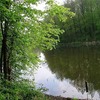 20090425_cboro_07