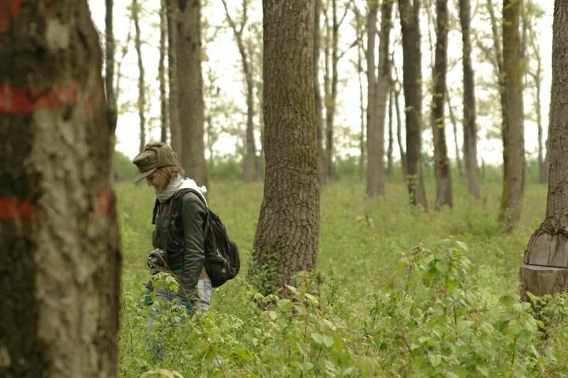 20090425_acimpeanu_04