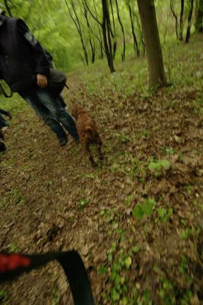 20090425_acimpeanu_14