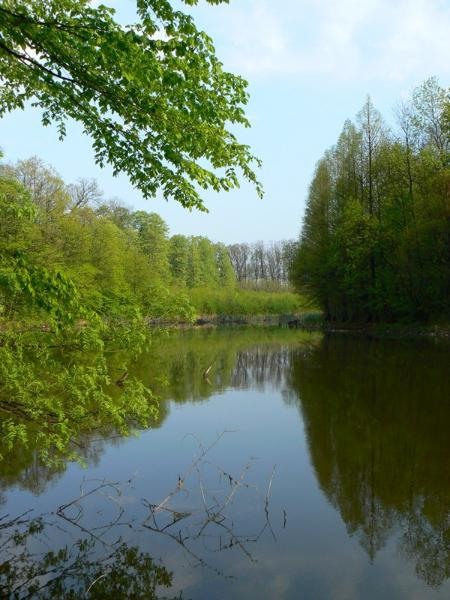 20090425_cdumitru_07