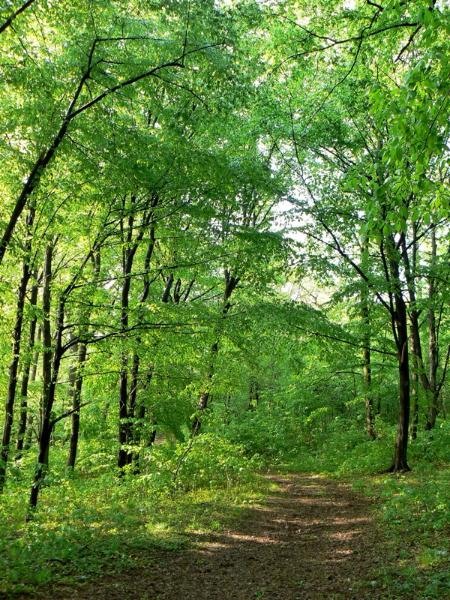 20090425_cdumitru_09