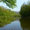20090425_cdumitru_07