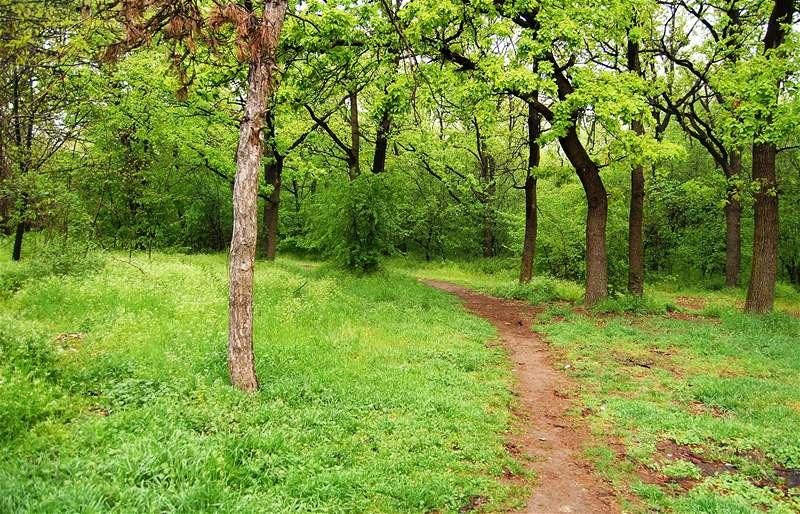 20090425_gmihaila_01