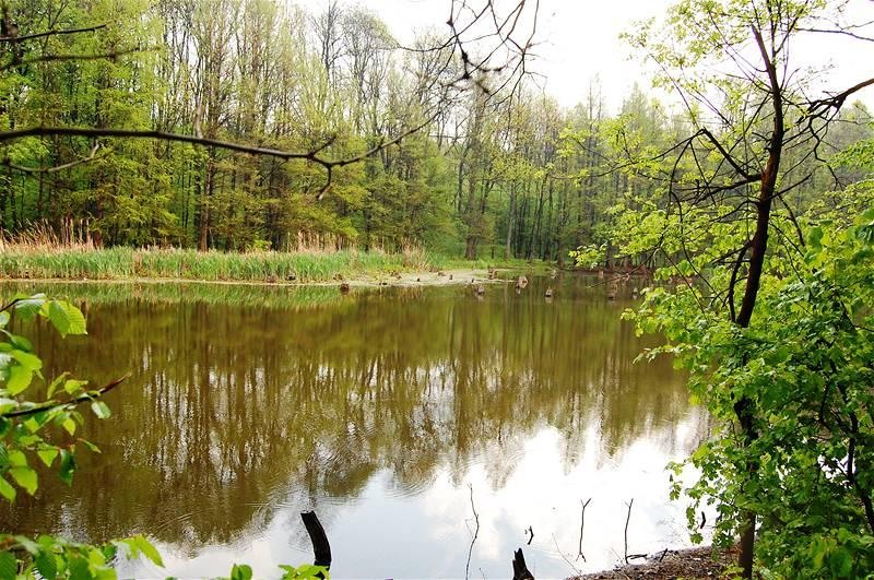 20090425_gmihaila_10