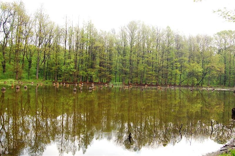 20090425_gmihaila_11