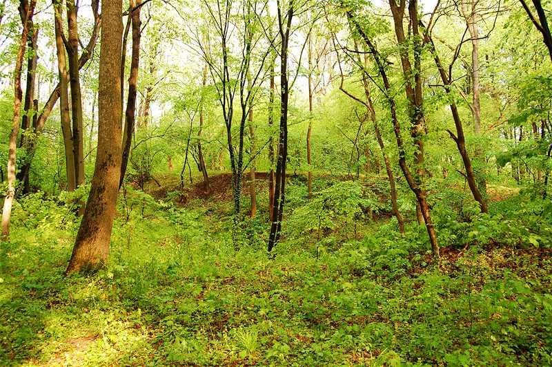 20090425_gmihaila_15