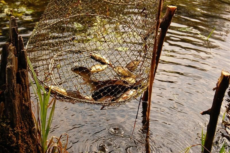 20090425_gmihaila_18