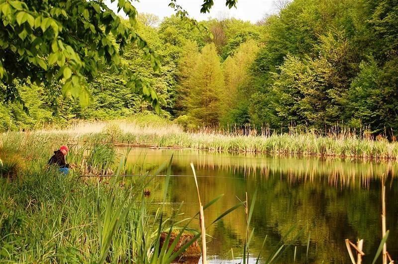 20090425_gmihaila_19